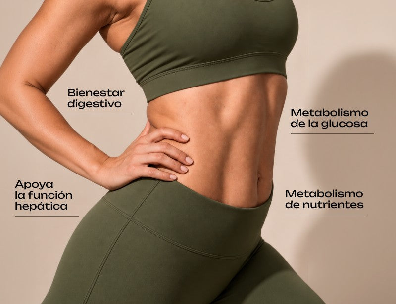 Berberina: bienestar digestivo, apoya la función hepática, metabolismo de la glucosa y metabolismo de nutrientes