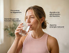 Detox: favorece la digestión, contribuye a la función hepática, ayuda a la eliminación de líquidos y aporta energía natural
