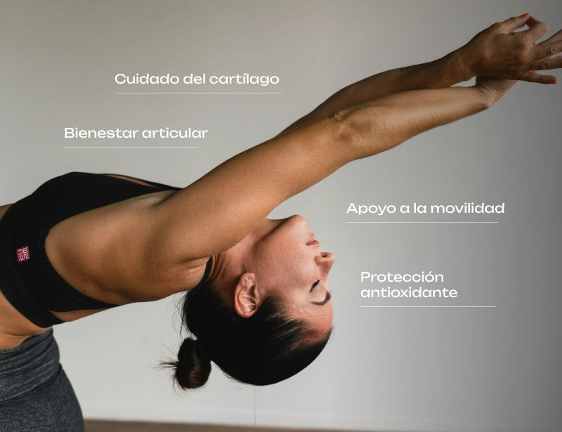 Glucosamina 1500 mg: cuidado del cartílago, bienestar articular, apoyo a la movilidad y protección antioxidante