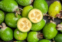 Frutos verdes de garcinia: garcinia