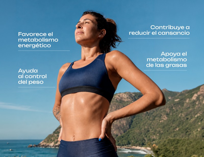 Fat Burner: favorece el metabolismo energético, ayuda al control del peso, contribuye a reducir el cansancio y apoya el metabolismo de las grasas