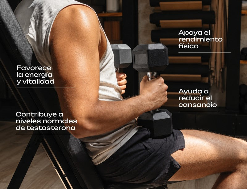 Testo Booster: favorece la energía y vitalidad, contribuye a niveles normales de testosterona, apoya el rendimiento físico y ayuda a reducir el cansancio